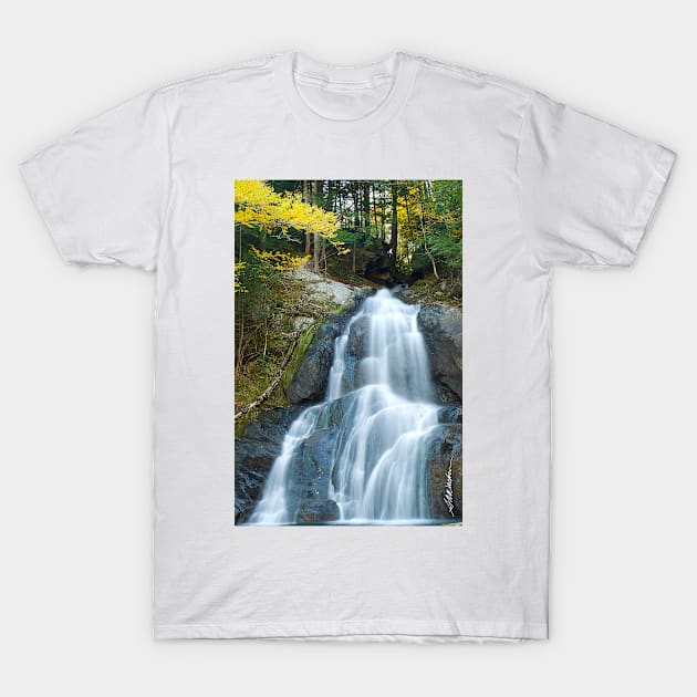 Moss Glen Falls T-Shirt by srwdesign